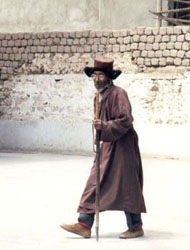 ladakhi